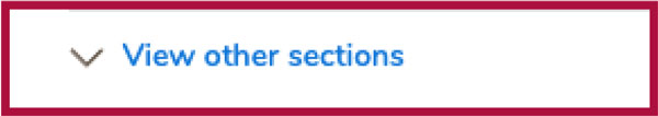 Screenshot of the 'View Other Sections' dropdown